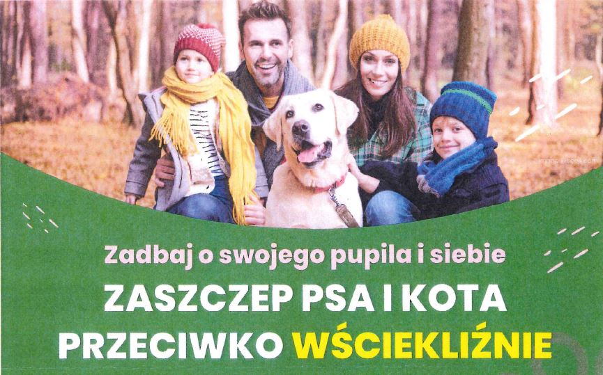 Plakat promujący szczepienia psów