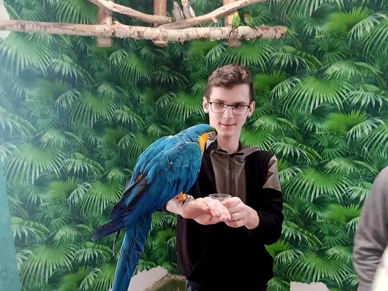 Uczeń z dużą niebieską papugą na przedramieniu