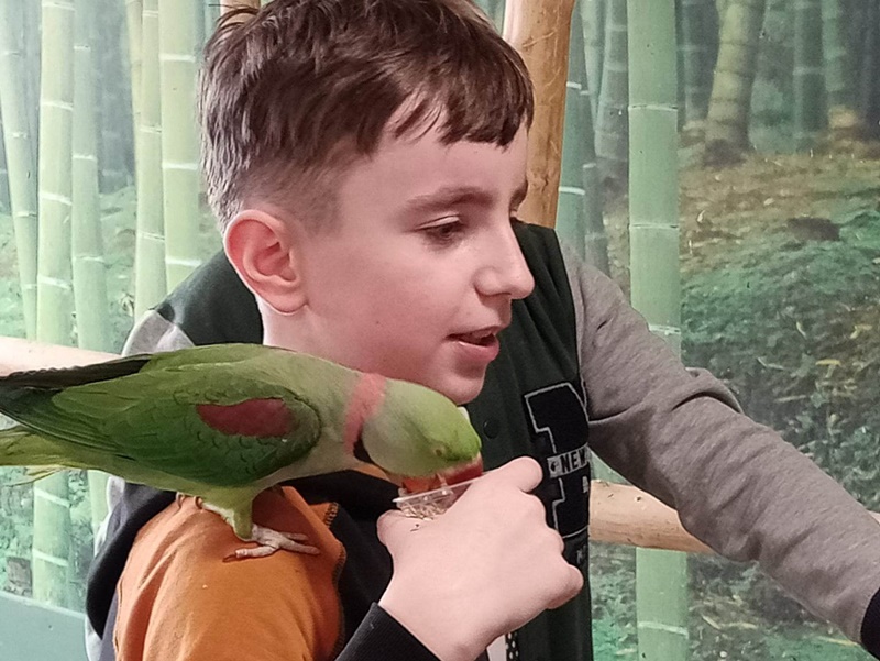 Uczeń z małą zieloną papugą na ramieniu